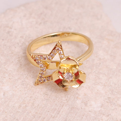 ANILLO RODAN100 ANILLO RODAN100